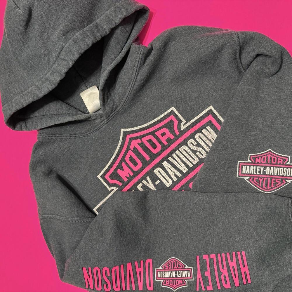 Harley-Davidson Rare Fit Pullover Hoodie Gray Pink Size Women Small